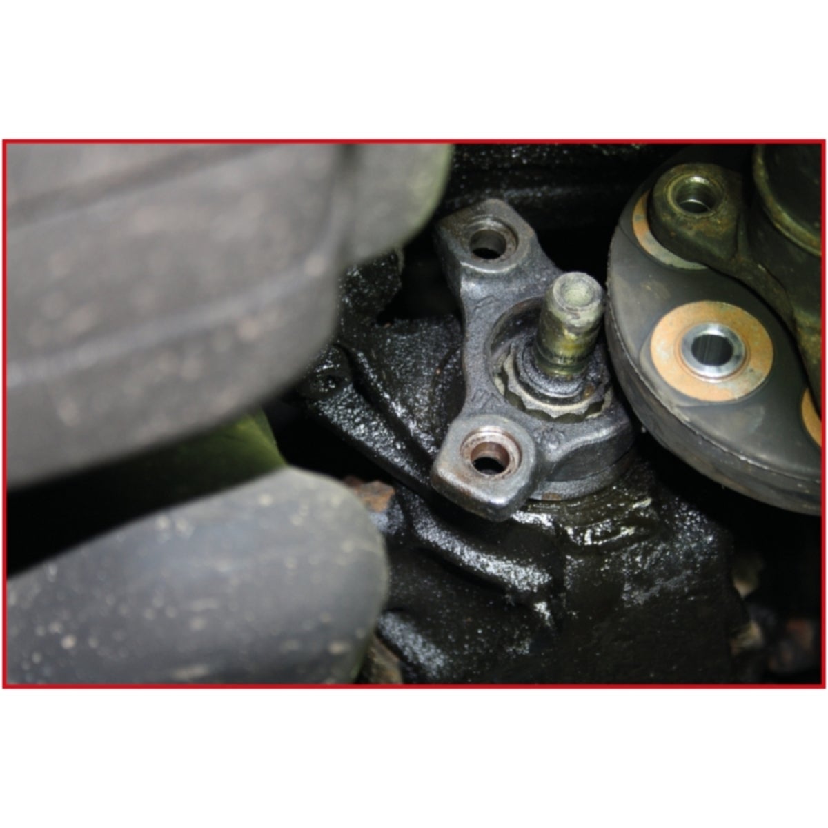 FOT_ANW_ALG_AUTO_917_1274_AW1_SALL_AING_V1