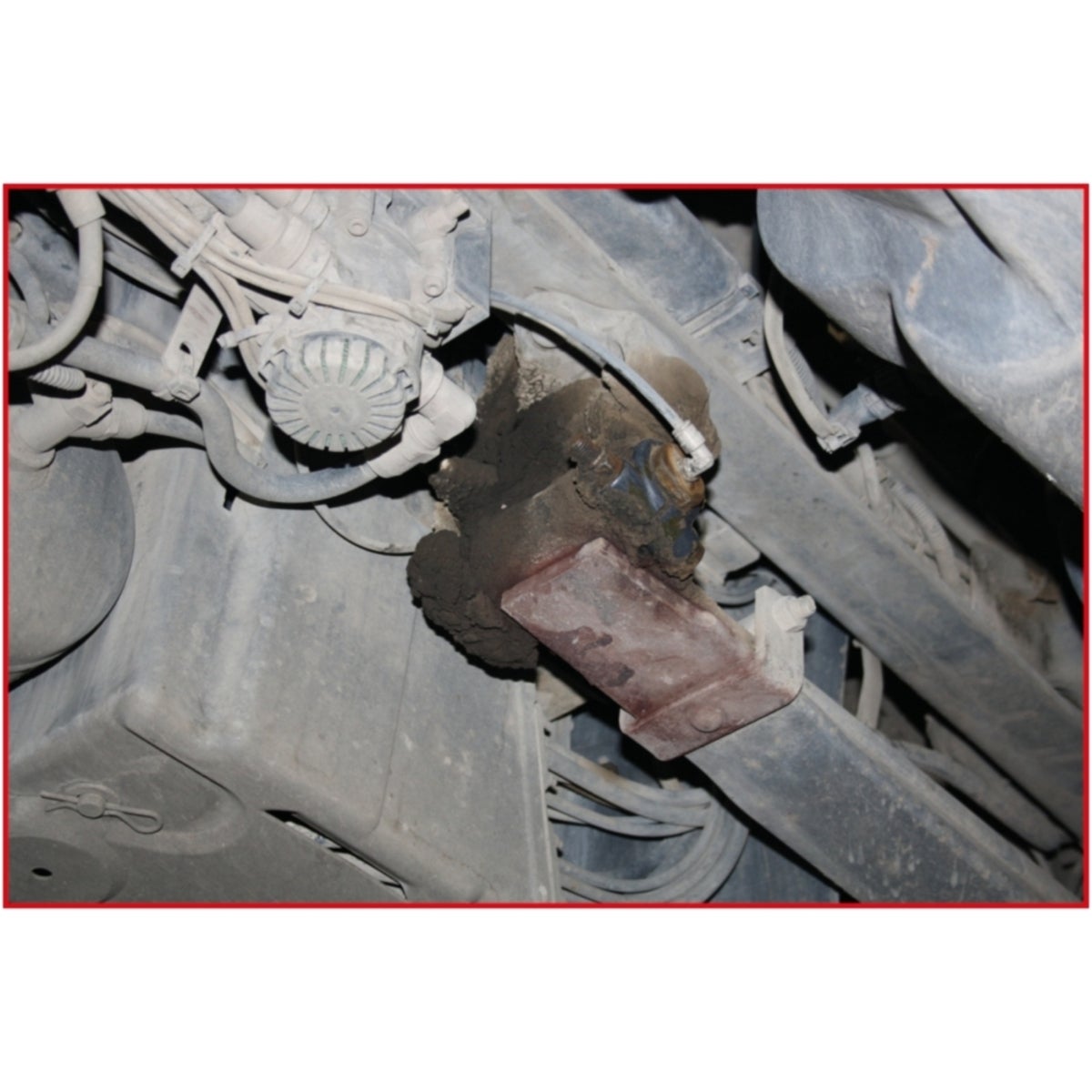 FOT_ANW_ALG_AUTO_450_022X_5-7__AW2_SALL_AING_V1