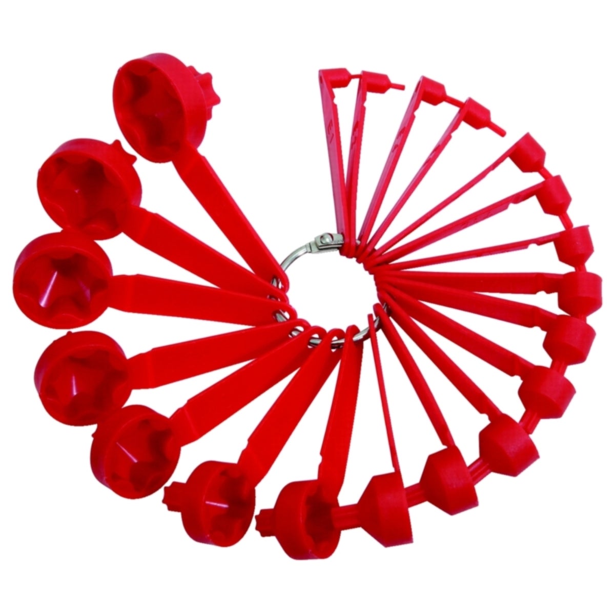 FOT_PRO_ALG_WZAL_300_0610_SALL_AING_V1