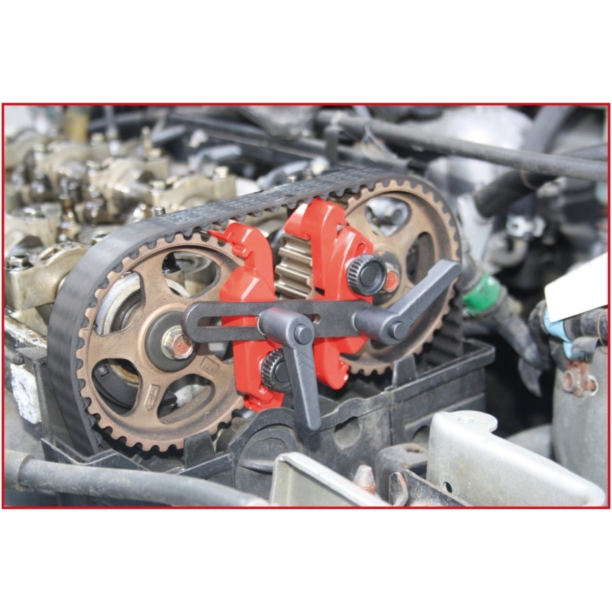 FOT_ANW_ALG_AUTO_150_3190_AW1_SALL_AING_V1
