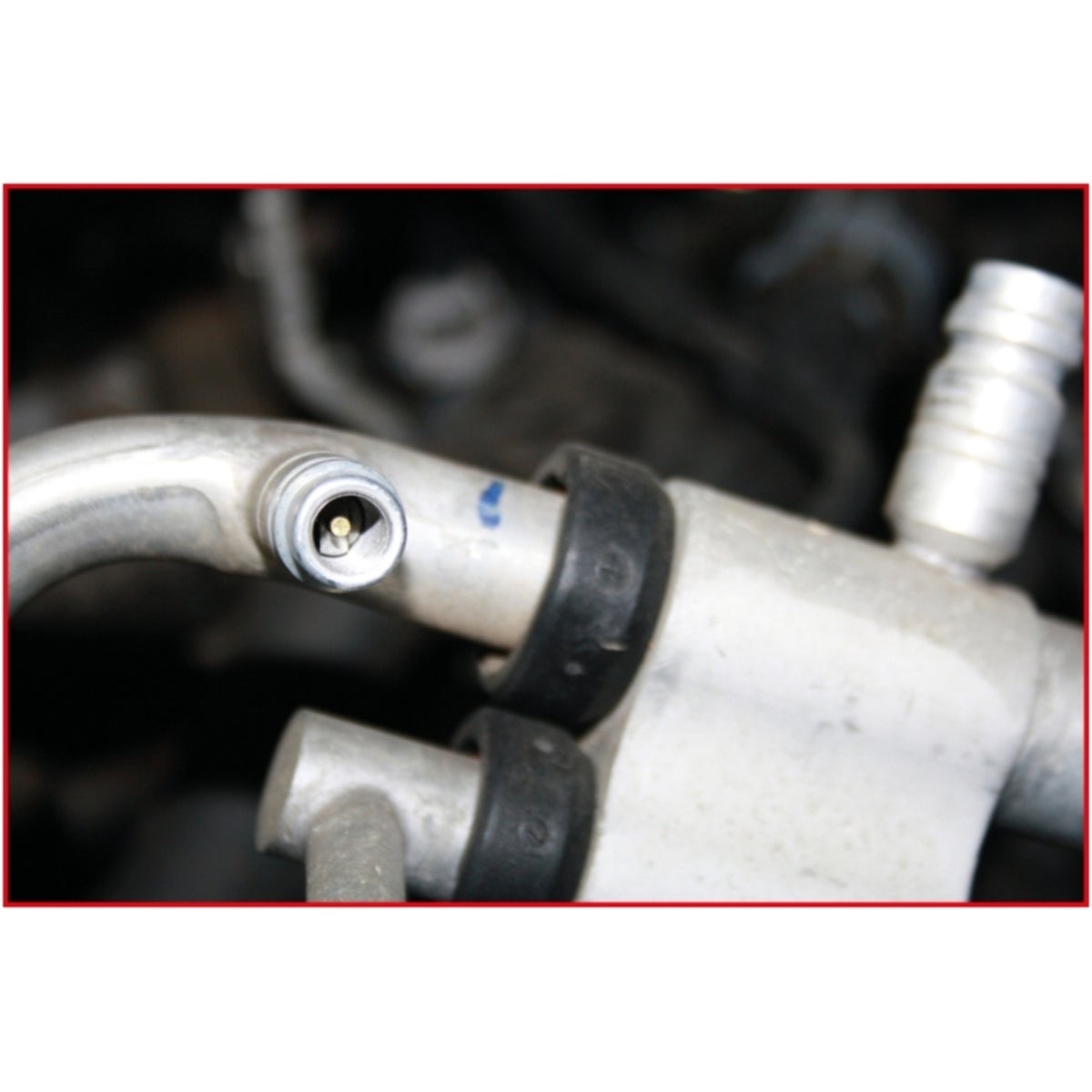 FOT_ANW_ALG_AUTO_550_1175_AW2_SALL_AING_V1