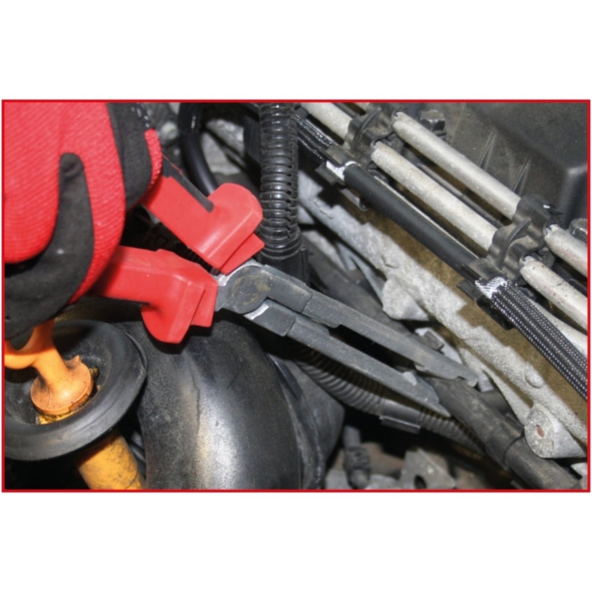 FOT_ANW_ALG_ZA_500_7330_AW1_SALL_AING_V1