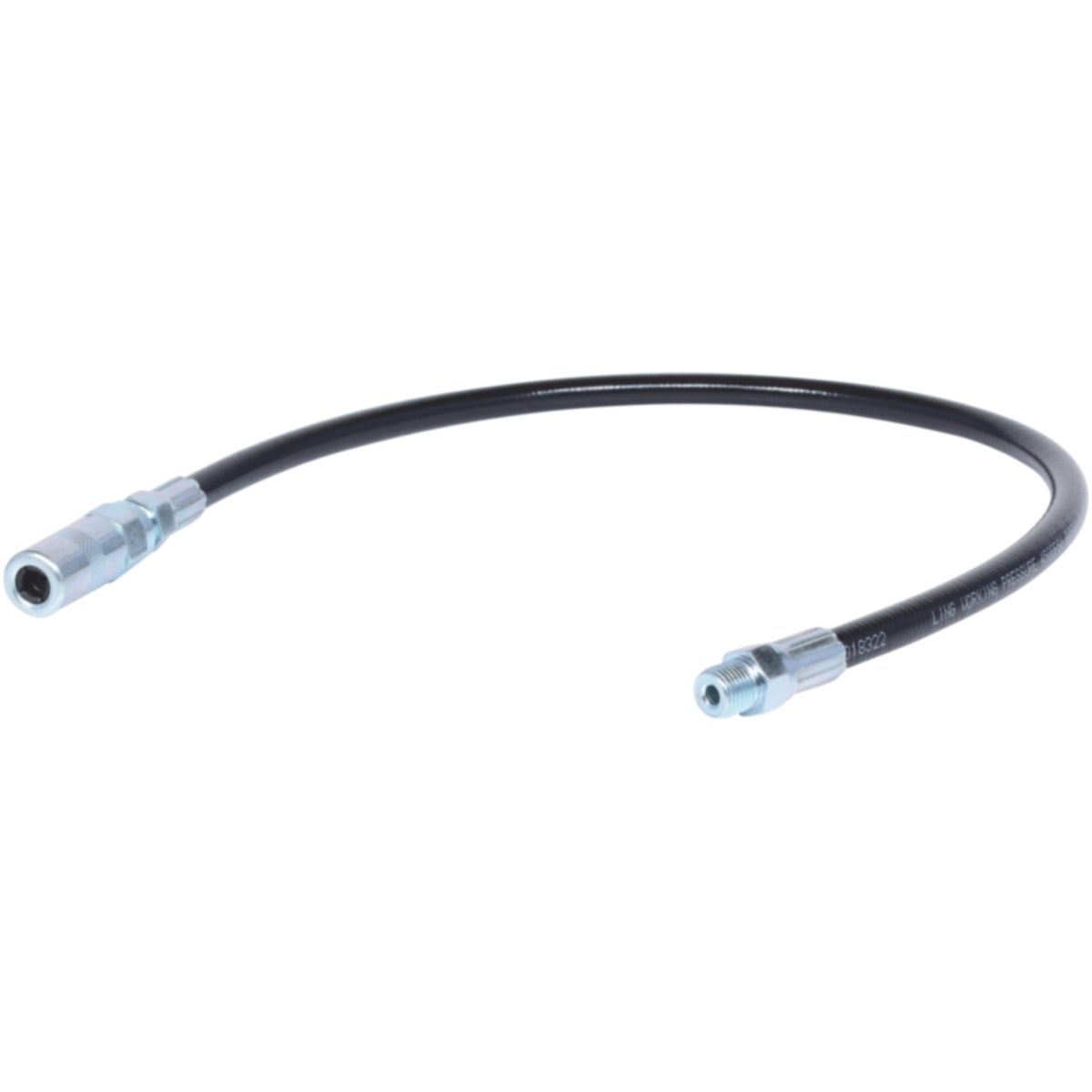 FOT_PRO_ALG_980_1012_SALL_AING_V1