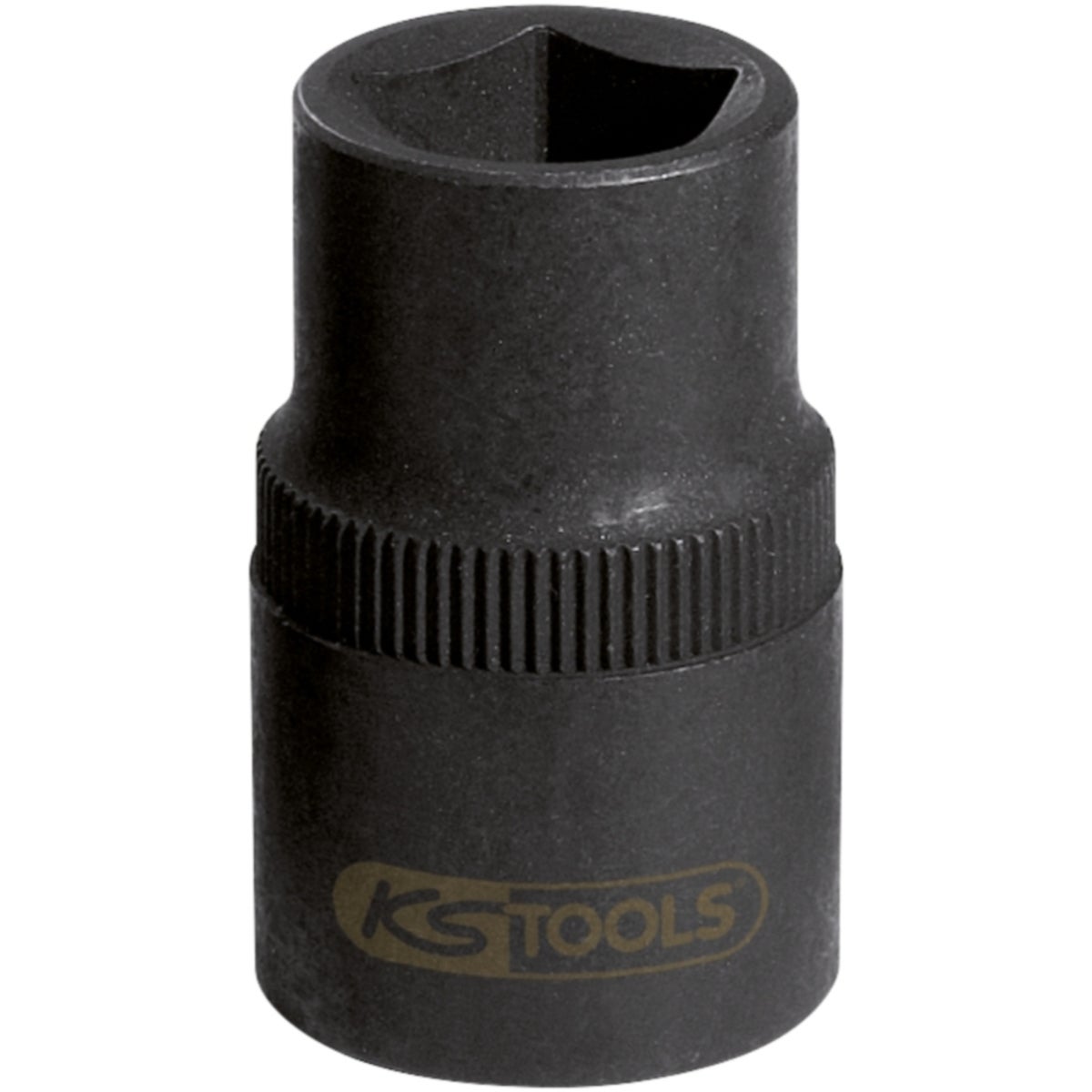 FOT_PRO_ALG_STK_150_2154_SALL_AING_V1