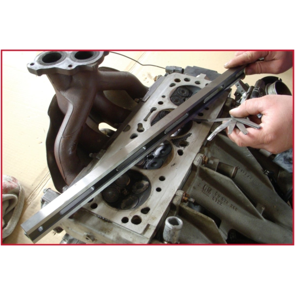 FOT_ANW_ALG_WZAL_300_0600_AW2_SALL_AING_V1