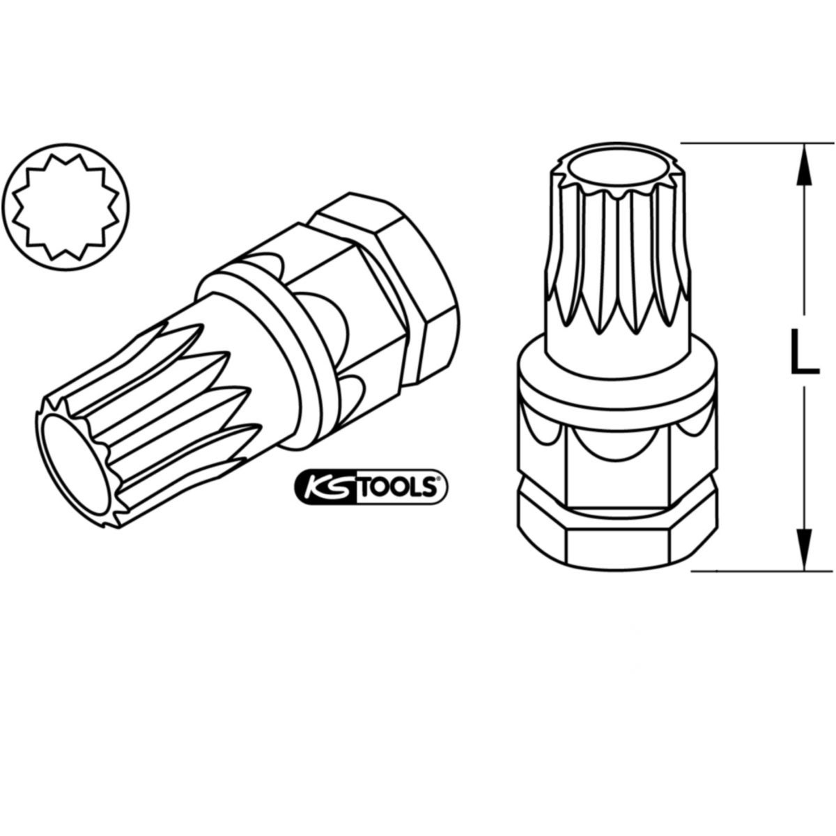 TECHZEI_503_81XX_52-55__SALL_AQU_V1