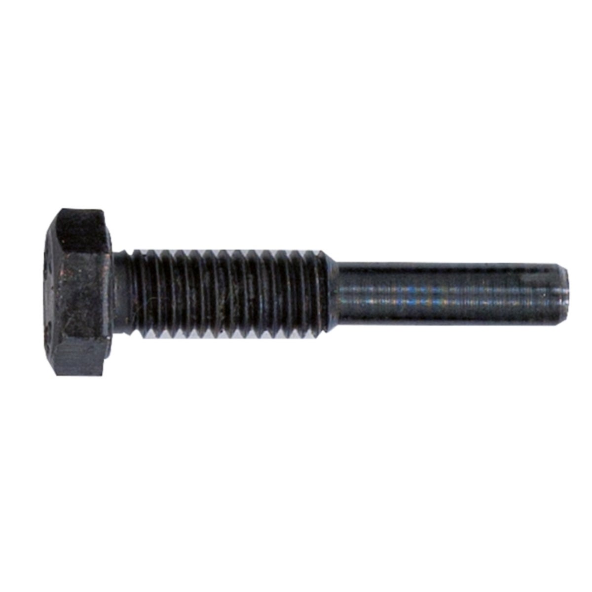 FOT_PRO_ALG_AUTO_150_318X_6-8__SALL_AING_V1