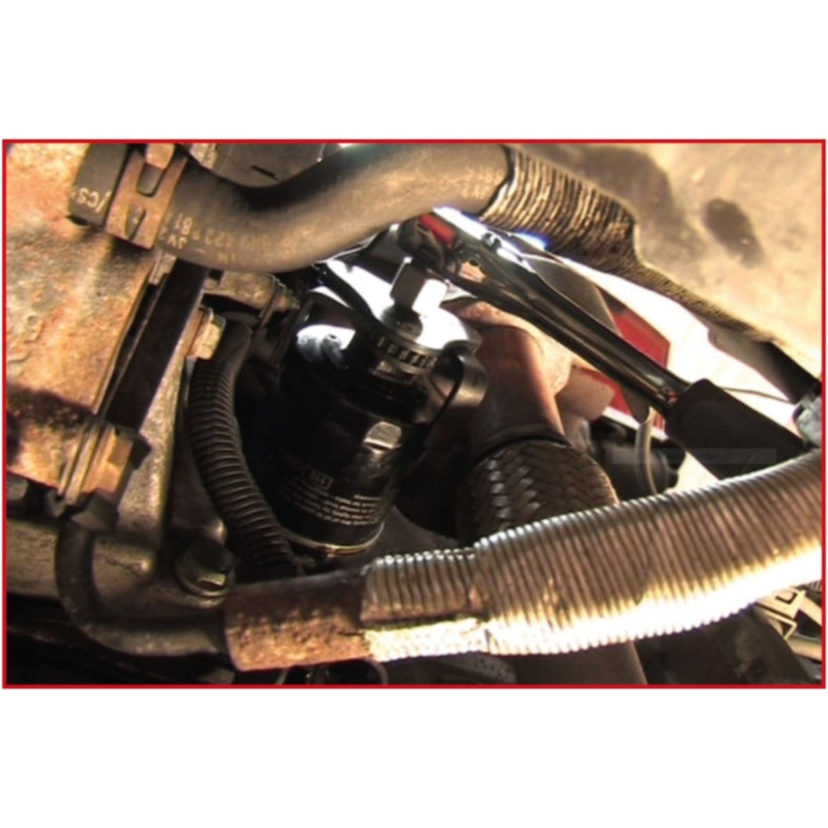 FOT_ANW_ALG_AUTO_150_931X_3-4__AW3_SALL_AING_V1
