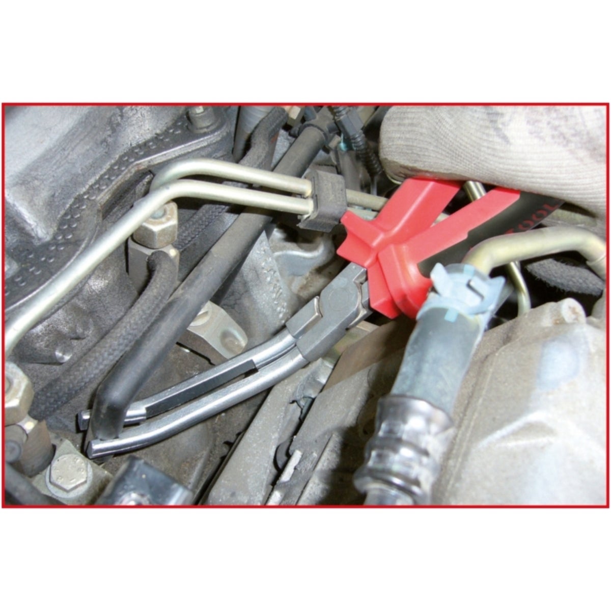 FOT_ANW_ALG_ZA_500_7310_AW1_SALL_AING_V1