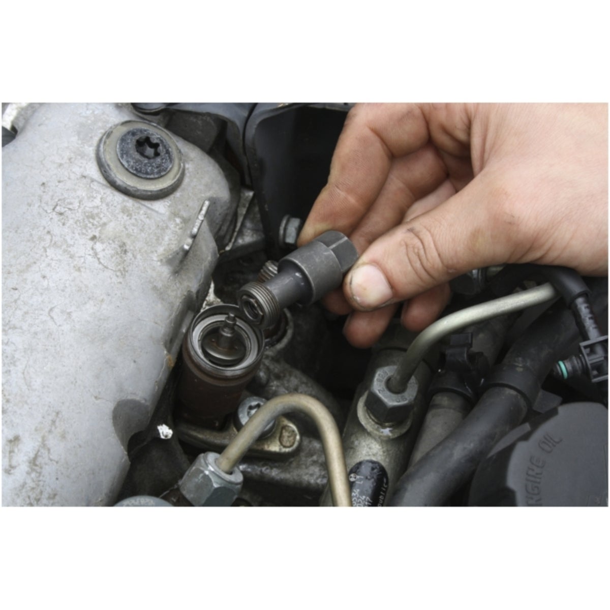 FOT_ANW_ALG_AUTO_152_1130_AW7_SALL_AING_V1