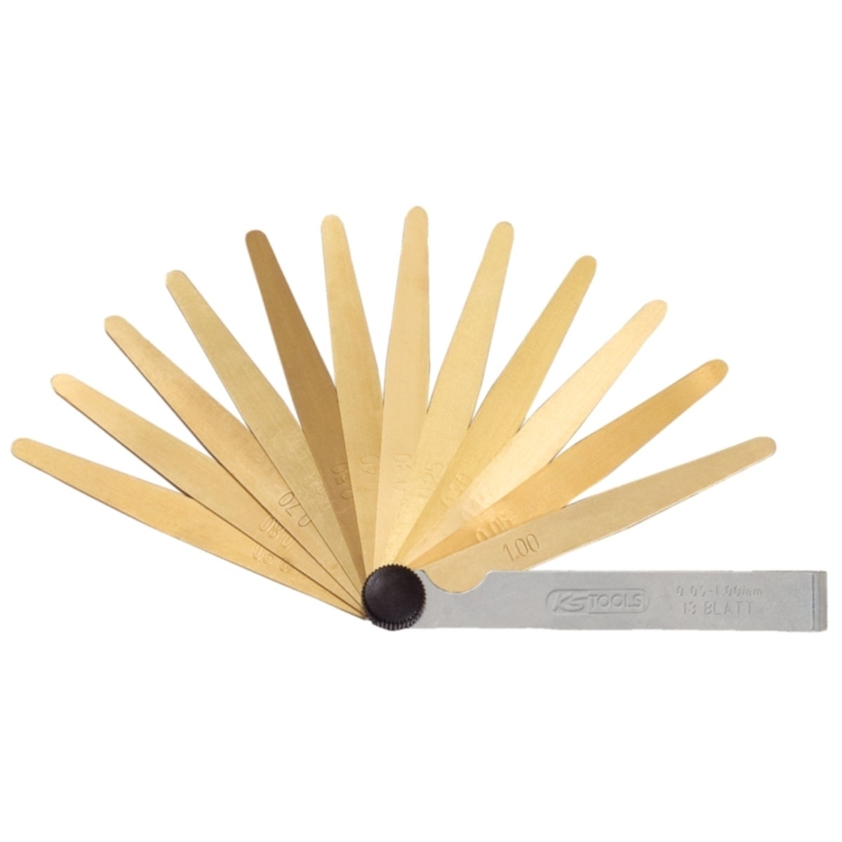 FOT_PRO_ALG_WZAL_300_061X_1-3__1_SALL_AING_V1