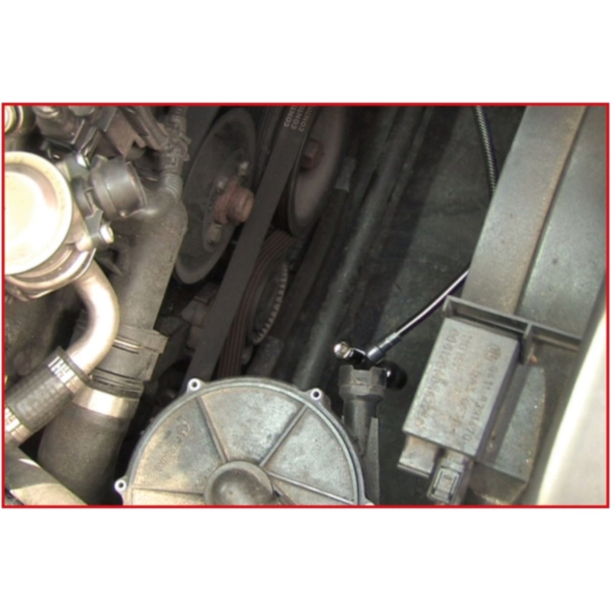 FOT_ANW_ALG_AUTO_550_102X_5-7__AW5_SALL_AING_V1