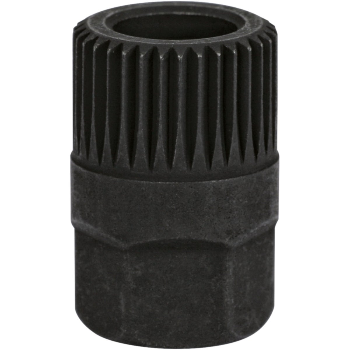 FOT_PRO_ALG_AUTO_150_3203_SALL_AING_V1