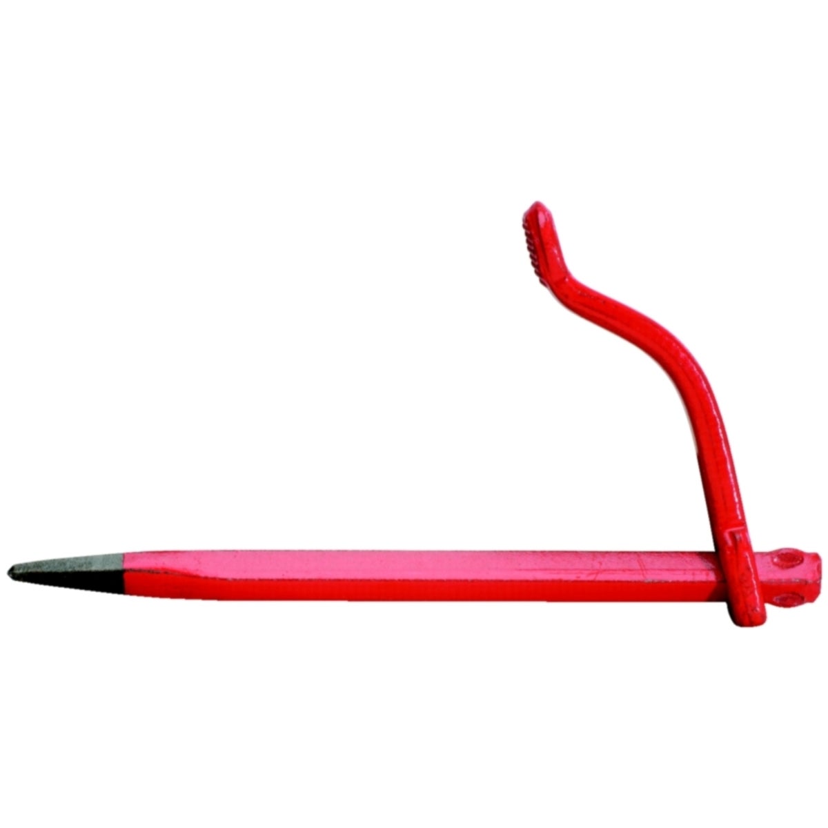 FOT_PRO_ALG_WZAL_156_0569_SALL_AING_V1