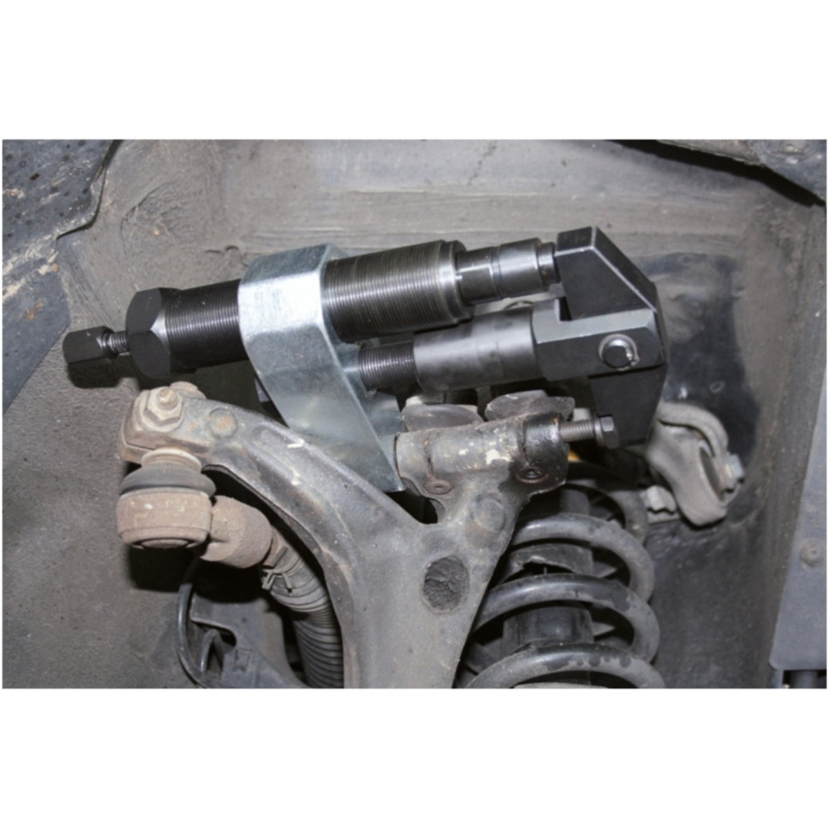 FOT_ANW_ALG_AUTO_670_007X_5-6__AW1_SALL_AING_V1