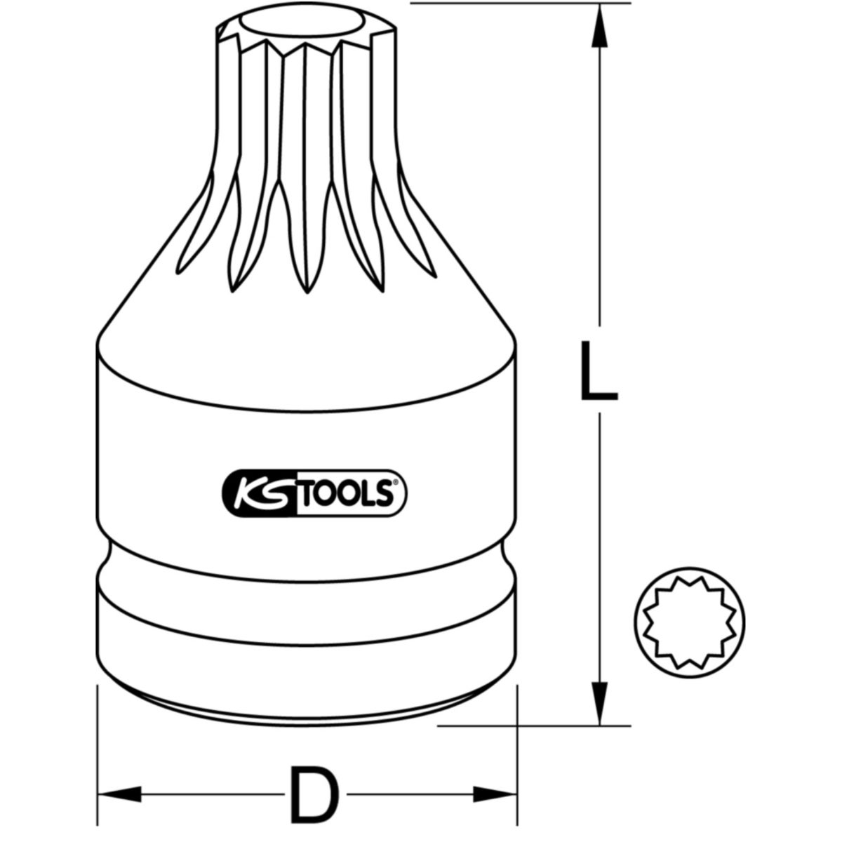 TECHZEI_515_001X_2-3__SALL_AQU_V1