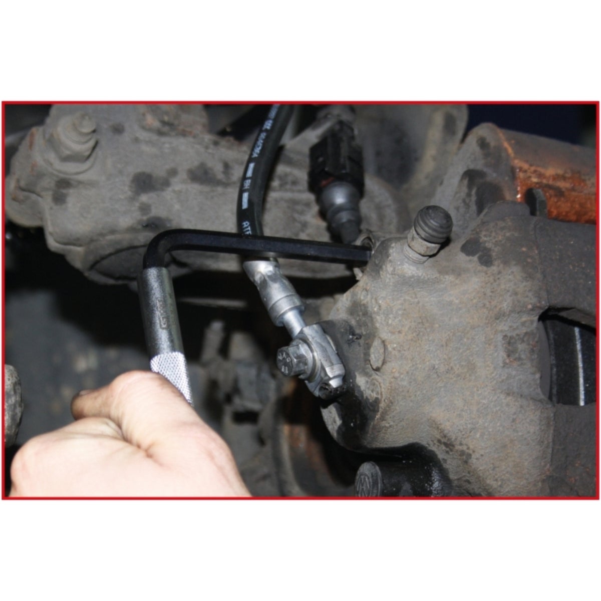 FOT_ANW_ALG_AUTO_150_197X_8-9__AW1_SALL_AING_V1