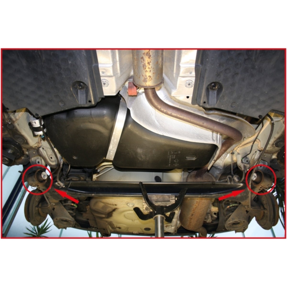 FOT_ANW_ALG_AUTO_440_0210_AW2_SALL_AING_V1