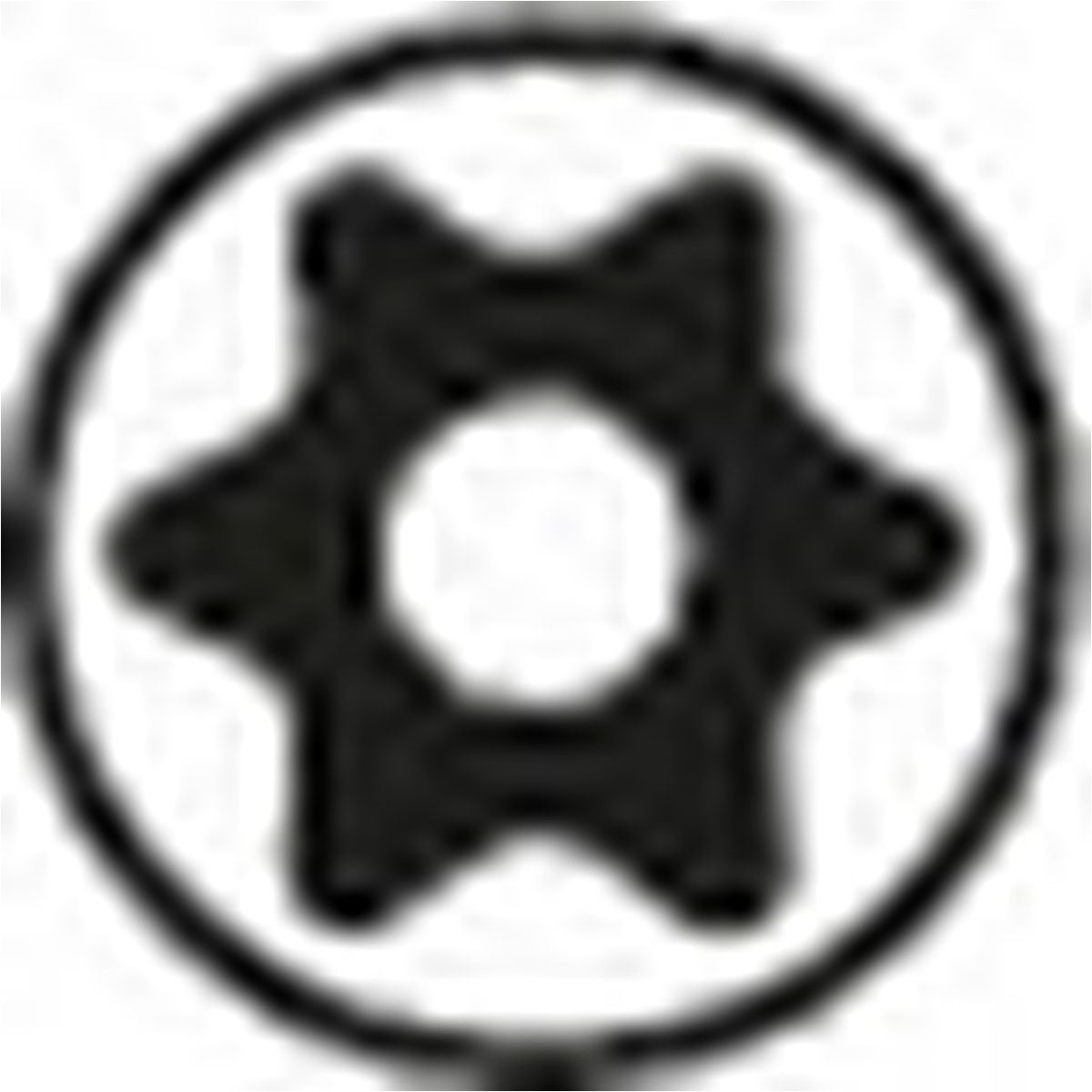sgn_pc_innen_torx_stift