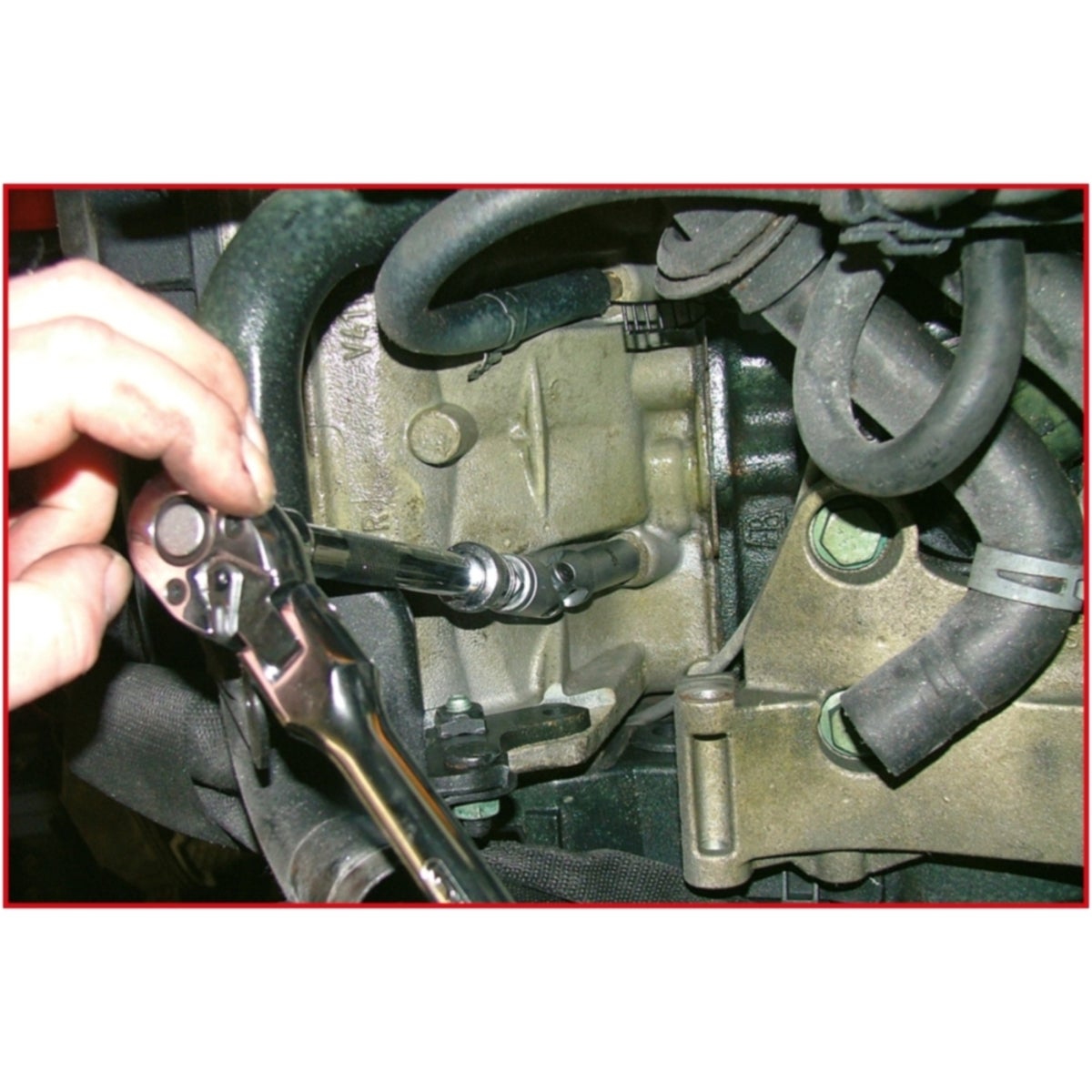 FOT_ANW_ALG_STK_500_730X_1-6__AW1_SALL_AING_V1