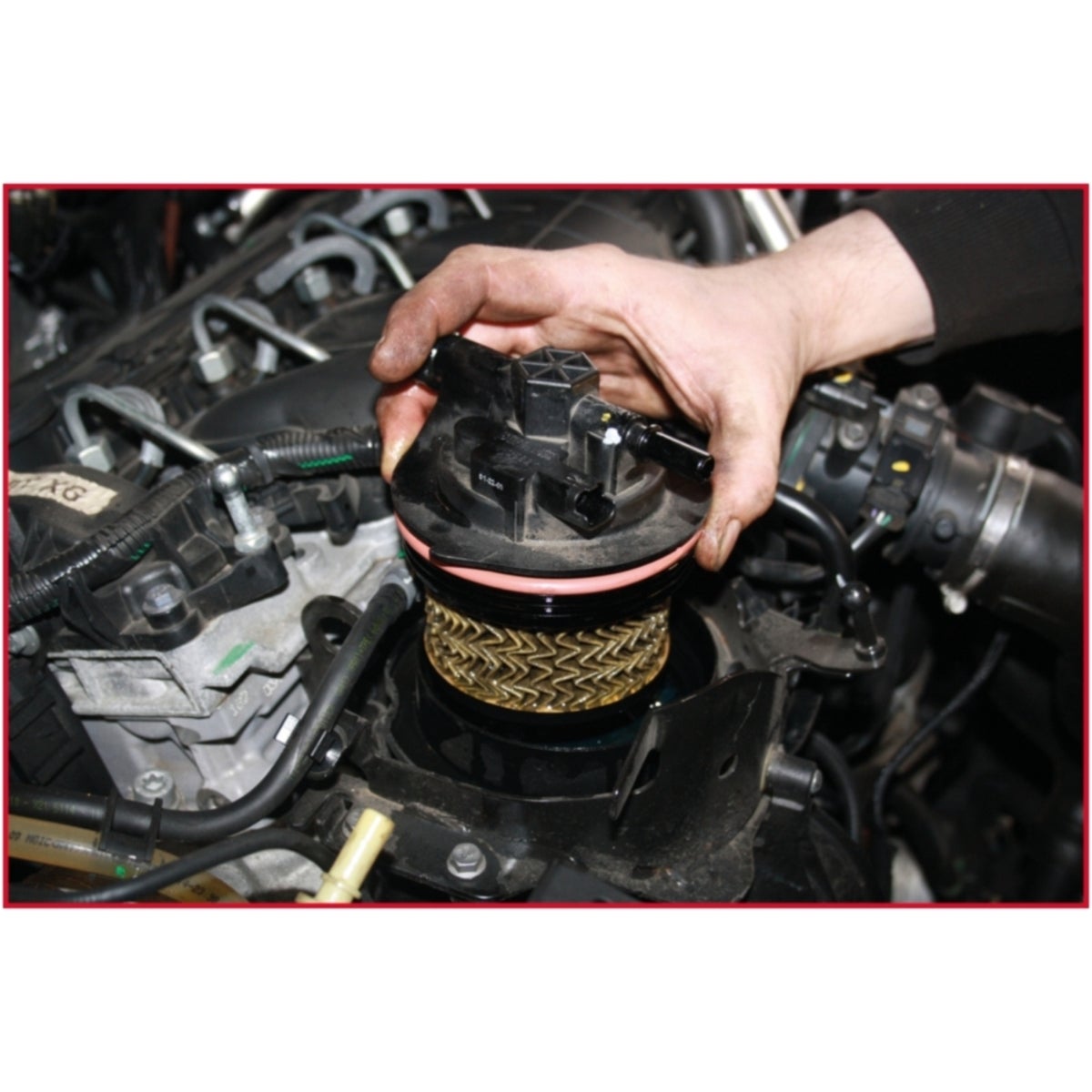 FOT_ANW_ALG_AUTO_150_3195_AW4_SALL_AING_V1