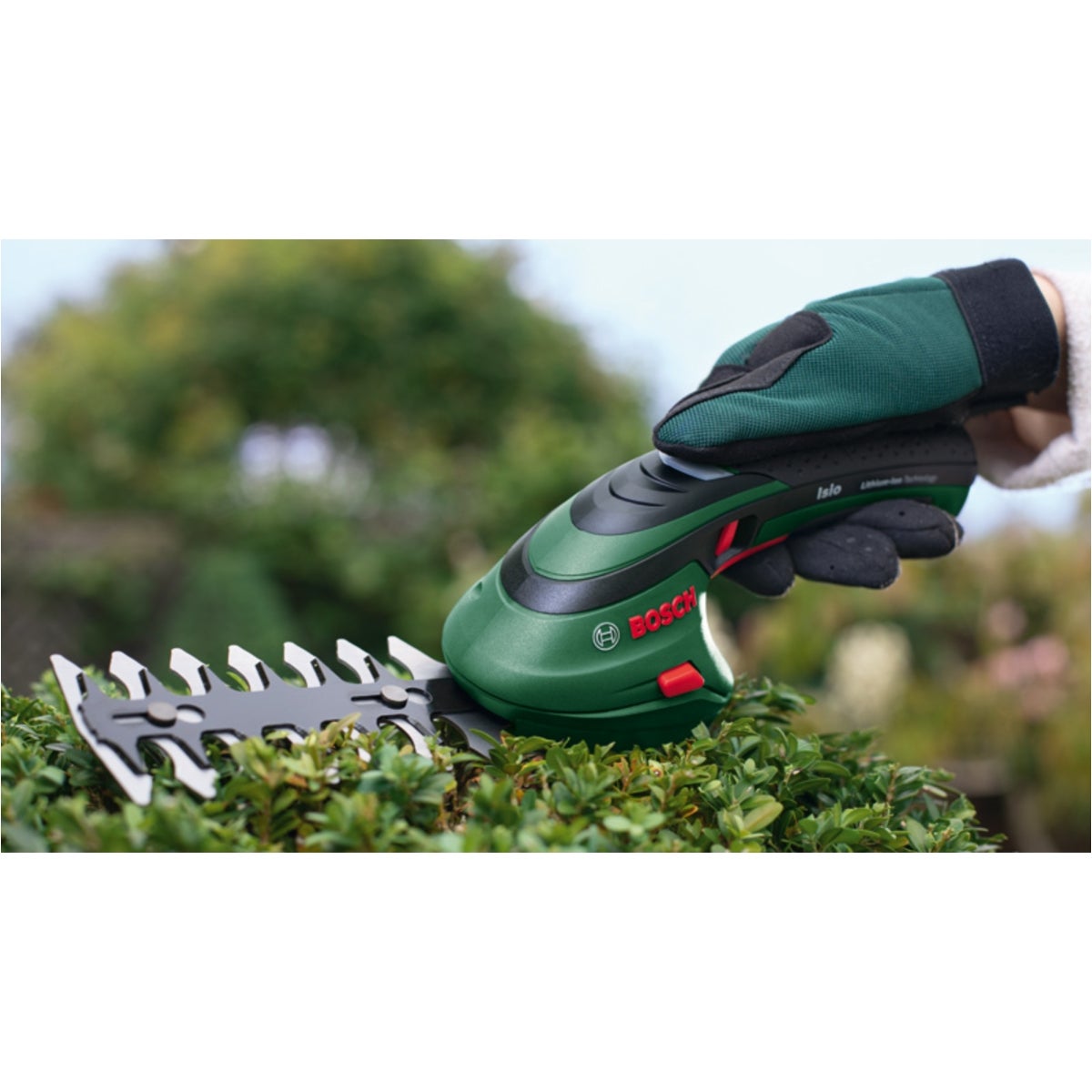 IMG-RD-383985-117