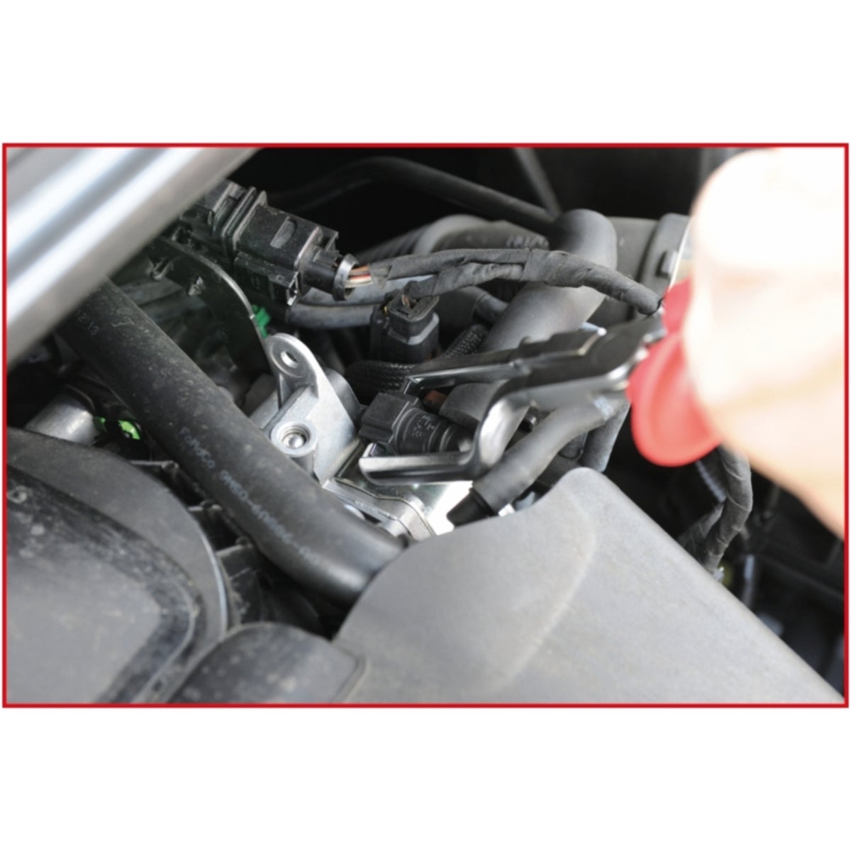 FOT_ANW_ALG_AUTO_115_0900_AW2_SALL_AING_V1