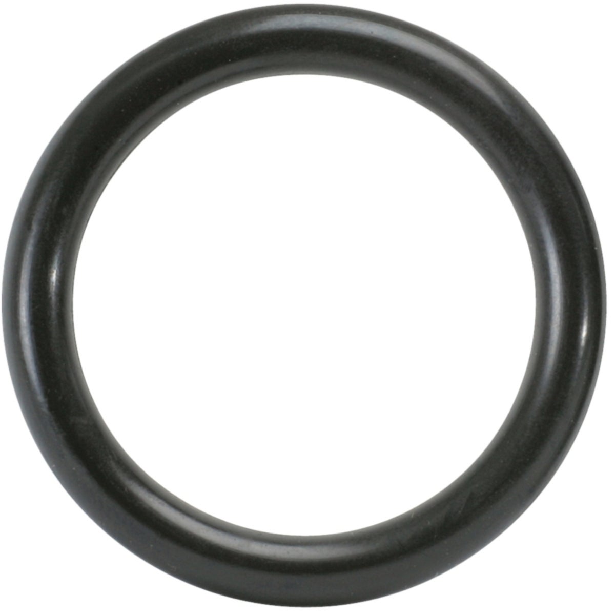 FOT_PRO_ALG_STK_515_113X_7-8__SALL_AING_V1