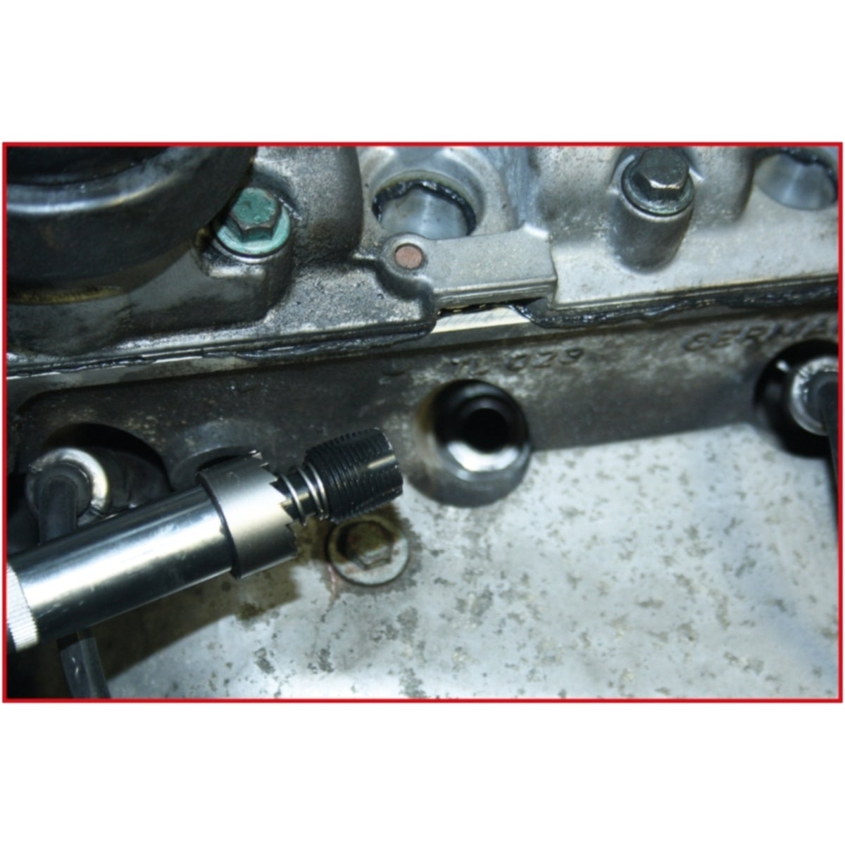 FOT_ANW_ALG_AUTO_150_501X_6-8__AW2_SALL_AING_V1