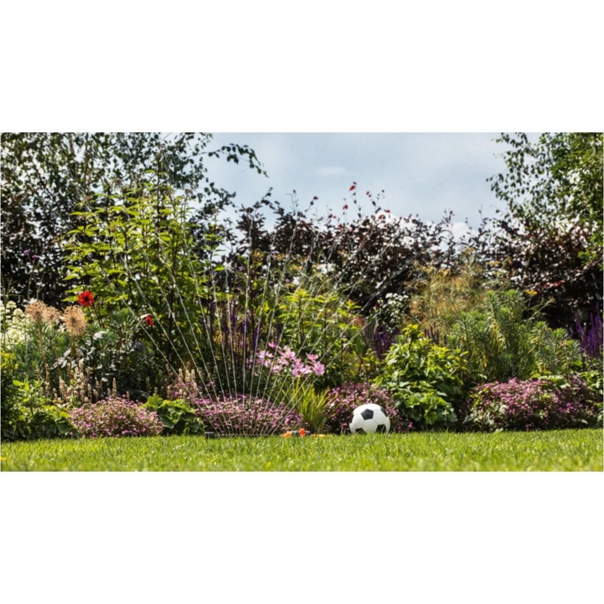 IMG-RD-321262-117