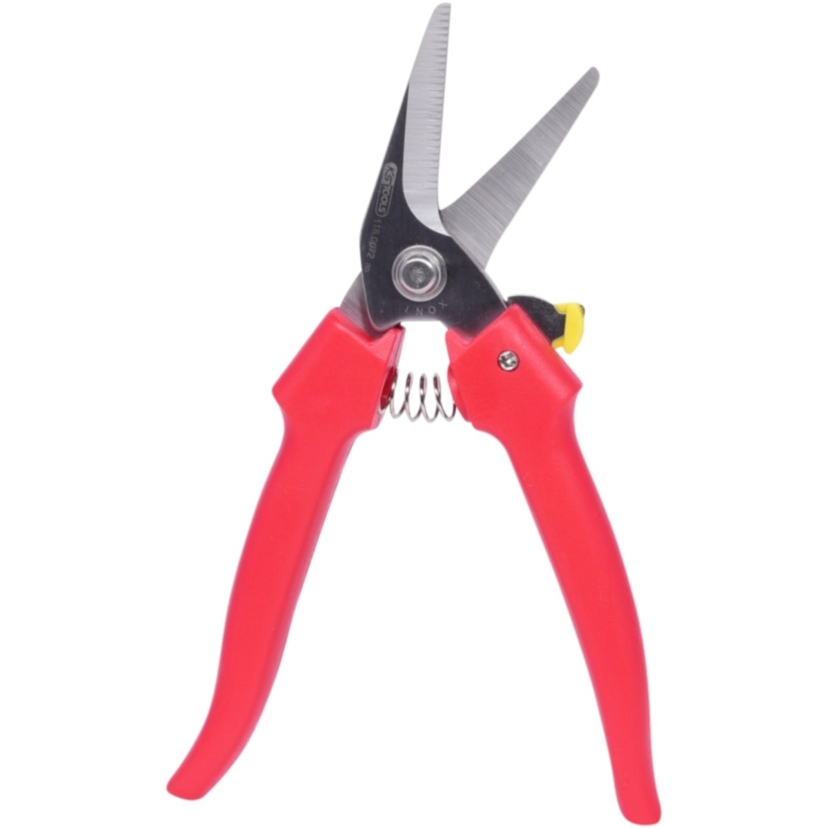 FOT_PRO_ALG_118_0072_SALL_AING_V1