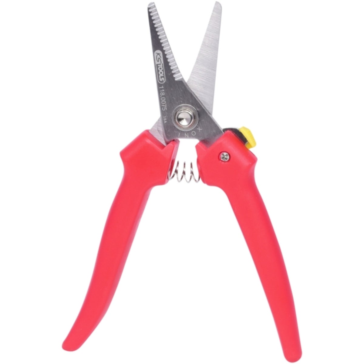 FOT_PRO_ALG_118_0075_SALL_AING_V1