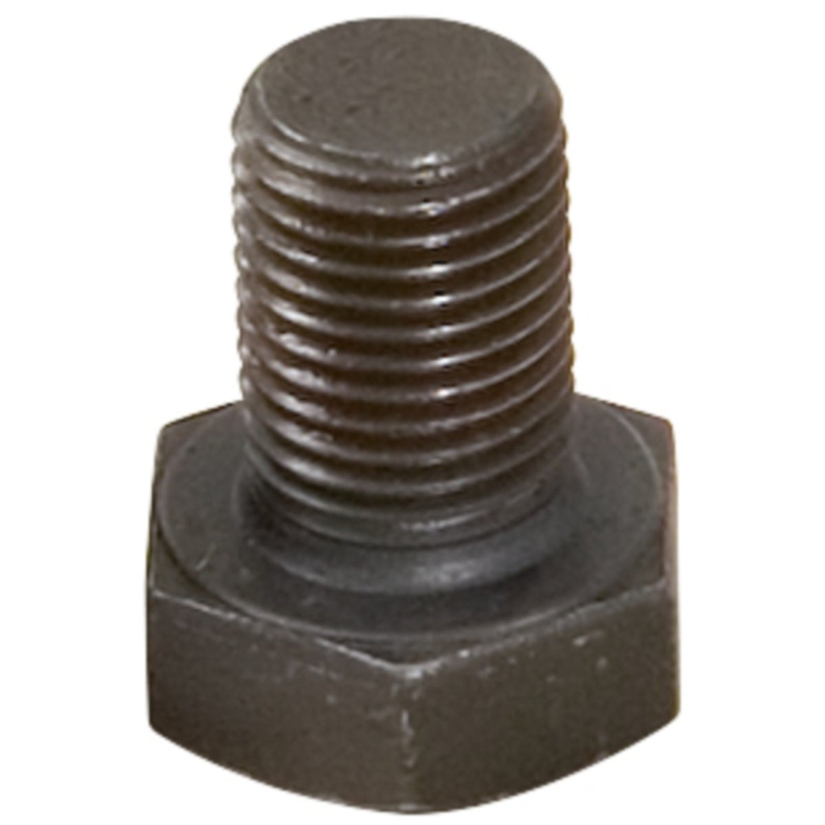 FOT_PRO_ALG_AUTO_150_2138_SALL_AING_V1