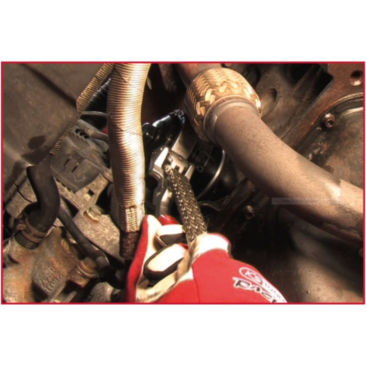 FOT_ANW_ALG_AUTO_150_937X_5-6__AW3_SALL_AING_V1