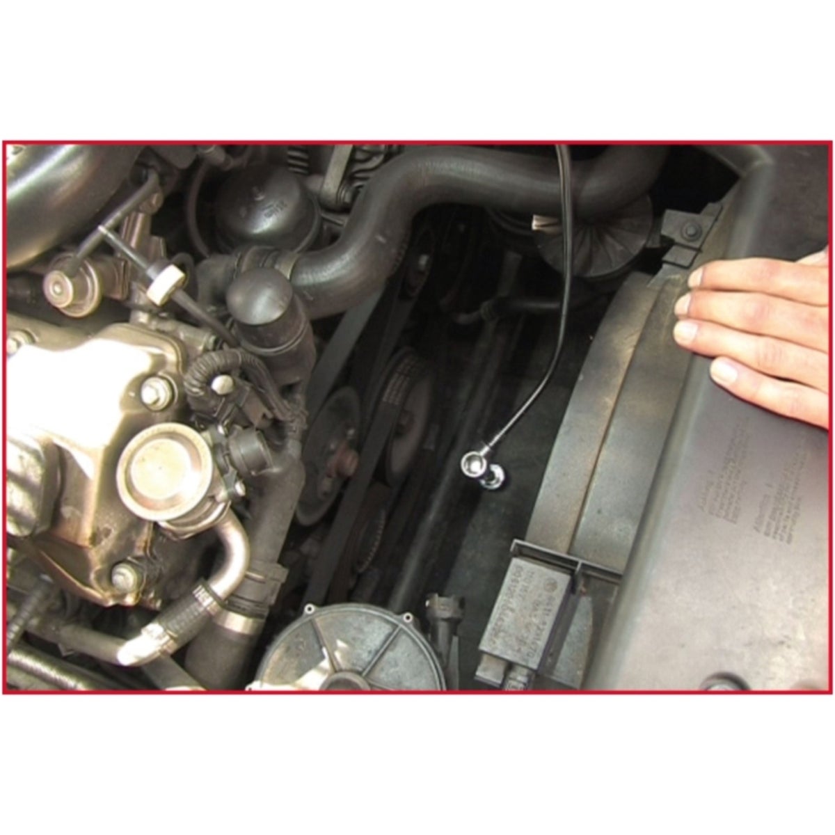 FOT_ANW_ALG_AUTO_550_102X_5-7__AW2_SALL_AING_V1
