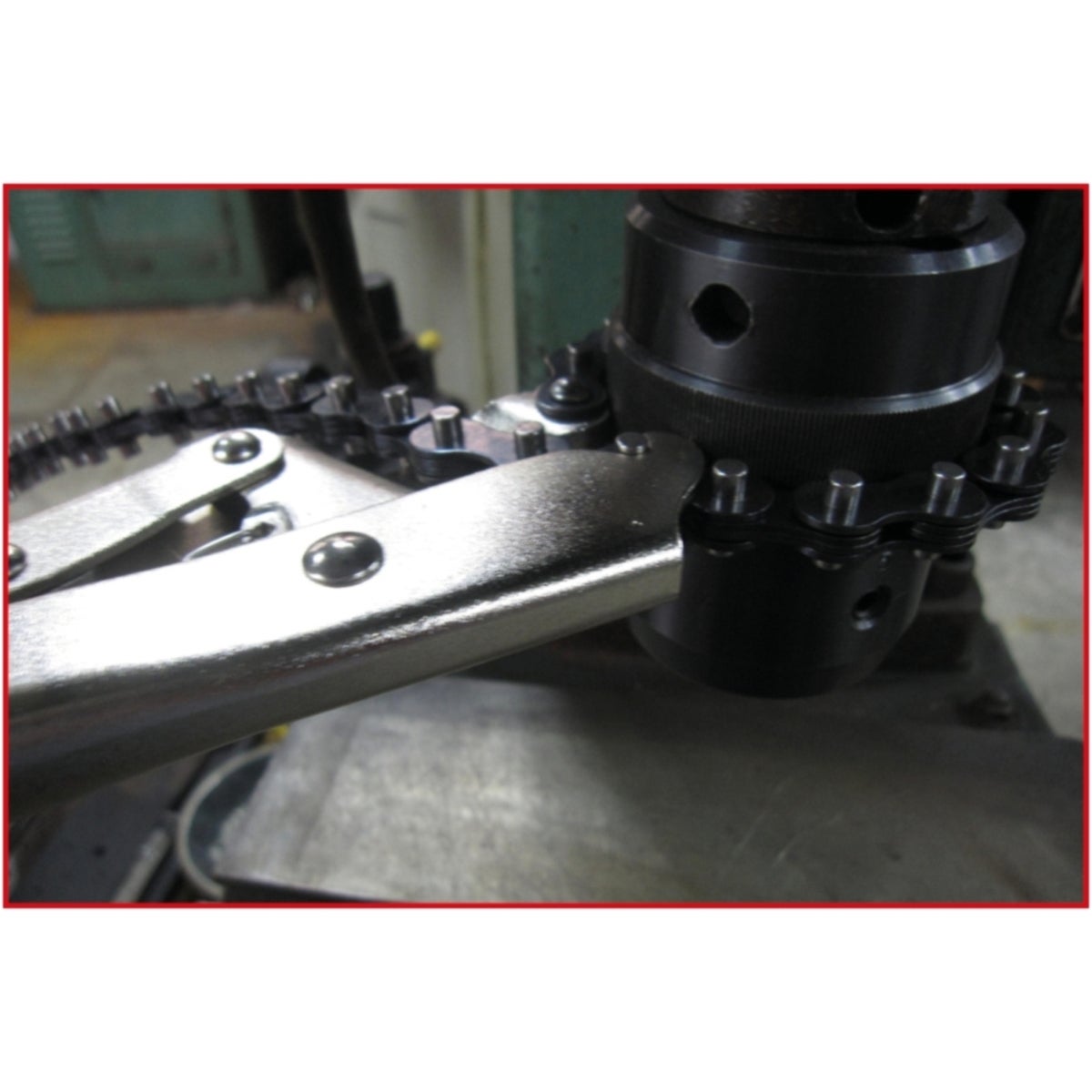 FOT_ANW_ALG_AUTO_115_117X_1-2__AW2_SALL_AING_V1