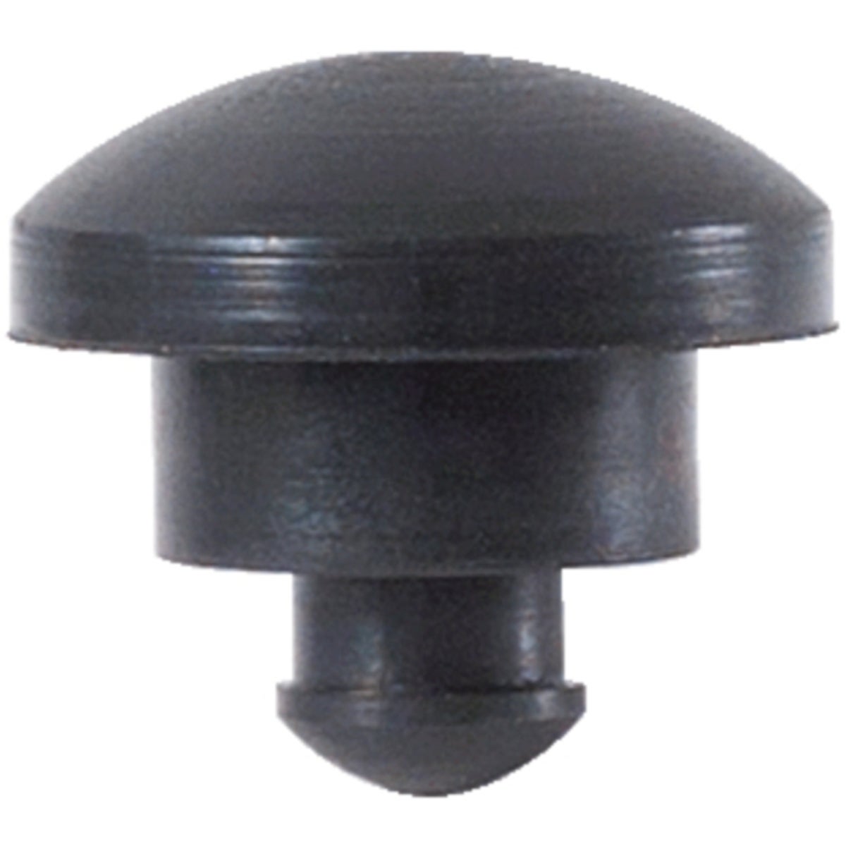 FOT_PRO_VAR_AUTO_122_1295_4_SALL_AING_V1