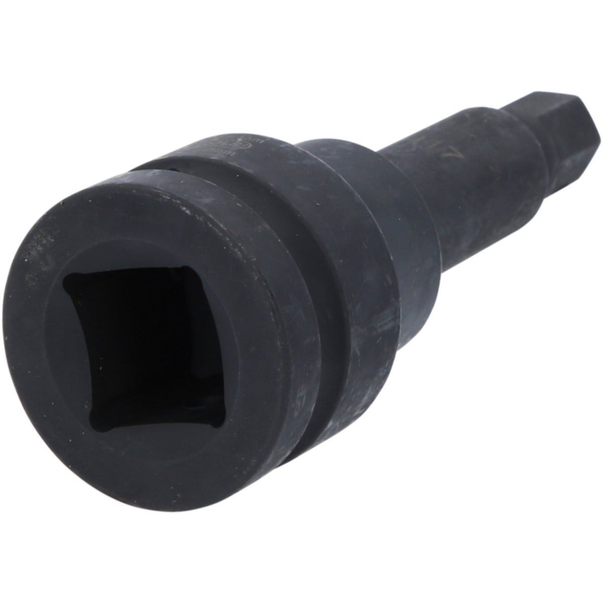 FOT_PRO_VAR_450_0491_2_SALL_AING_V1