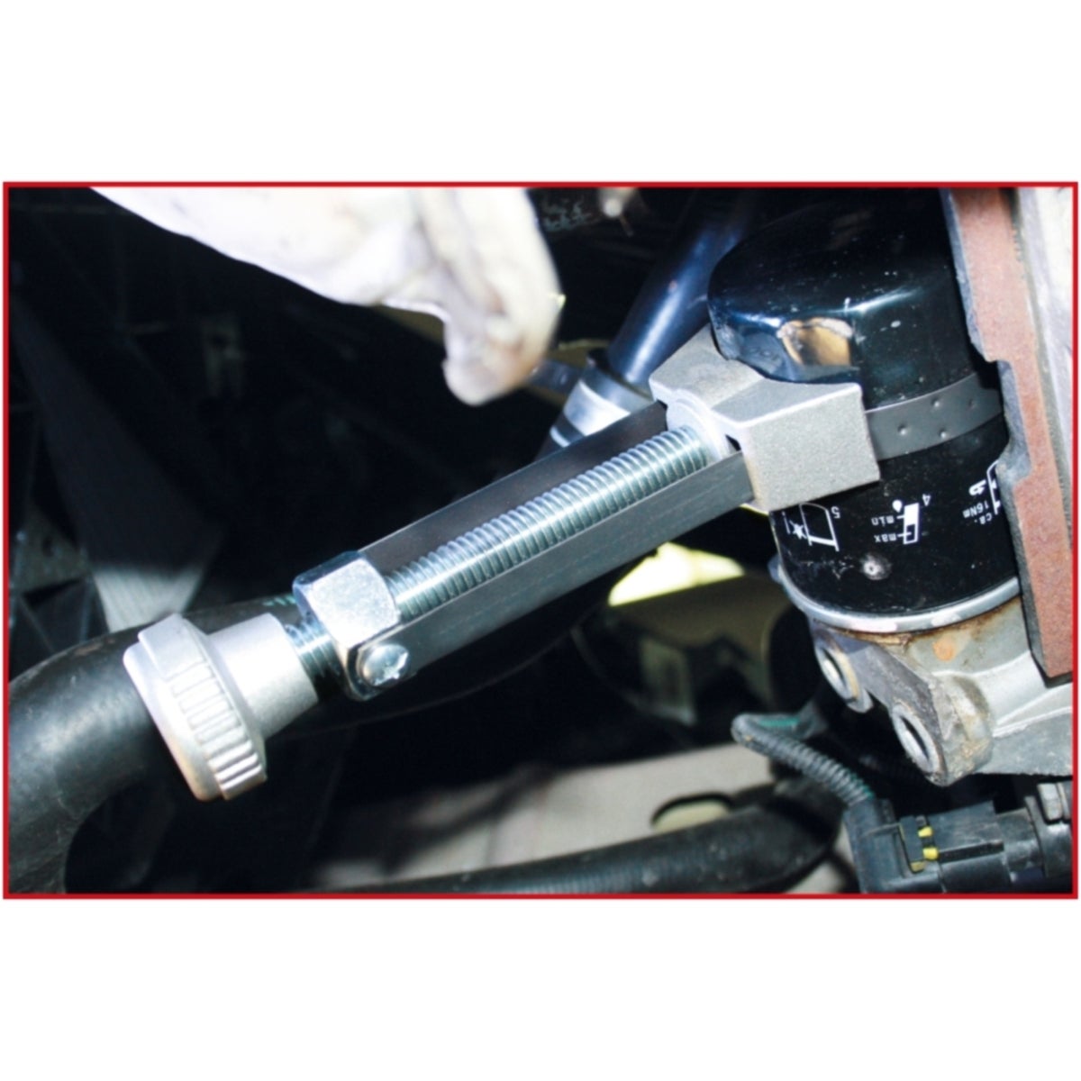 FOT_ANW_ALG_AUTO_155_500X_2-3__AW1_SALL_AING_V1