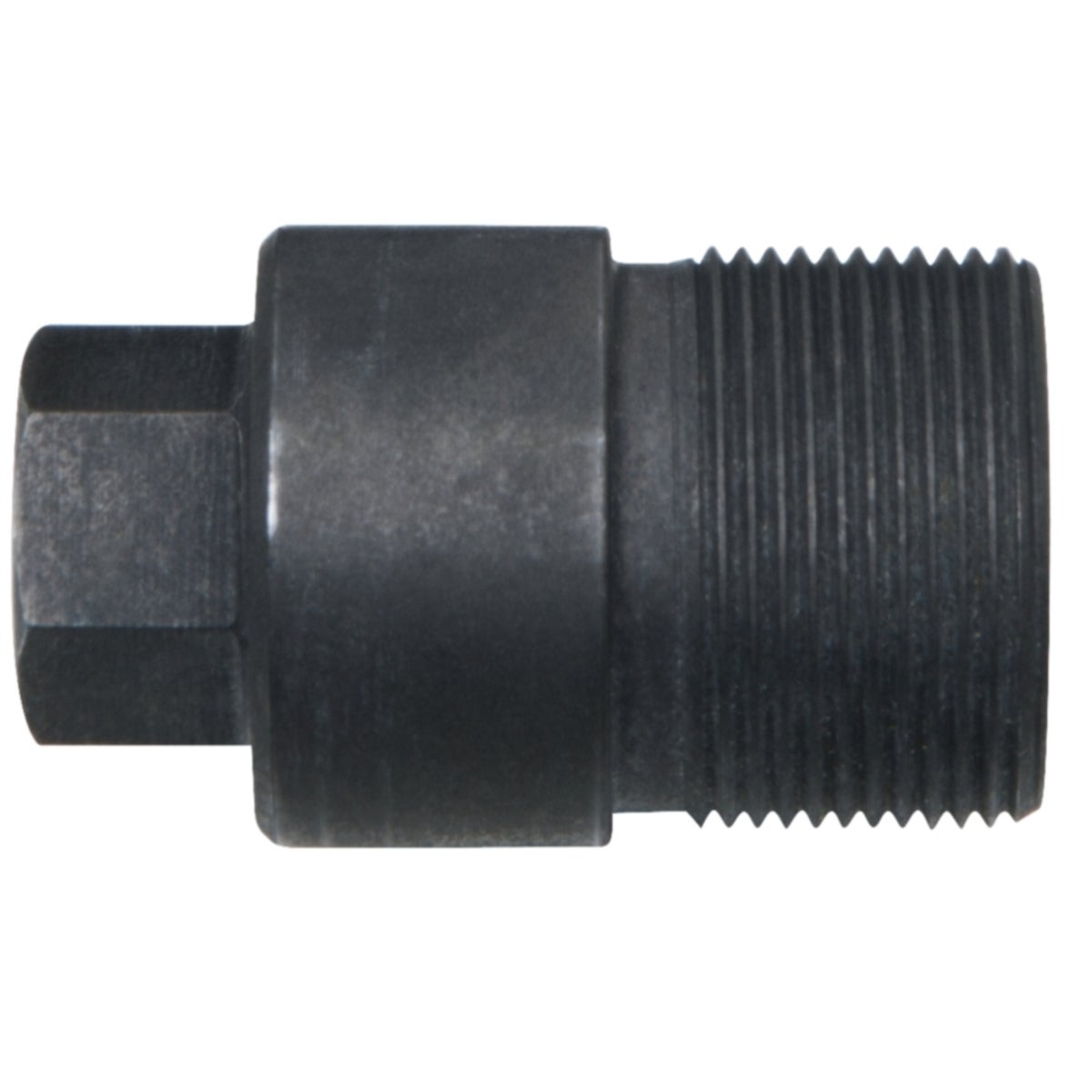 FOT_PRO_ALG_AUTO_150_1576_SALL_AING_V1