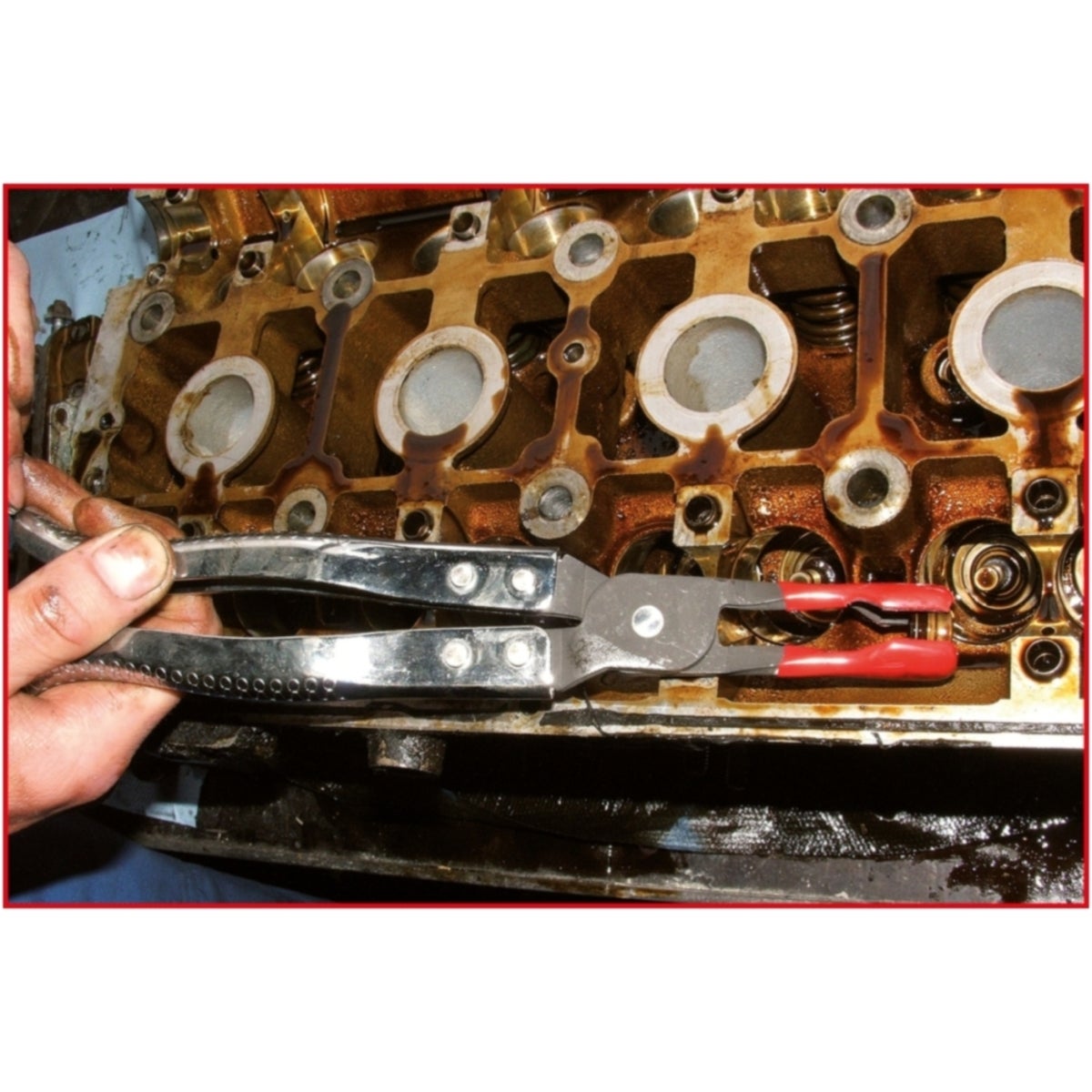 FOT_ANW_ALG_ZA_115_1061_AW2_SALL_AING_V1