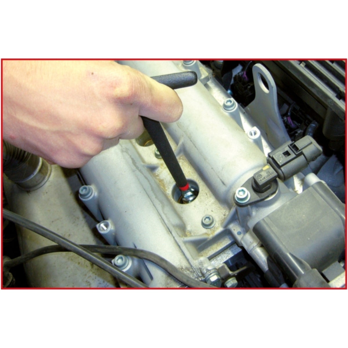 FOT_ANW_ALG_AUTO_517_117X_0-5__AW1_SALL_AING_V1