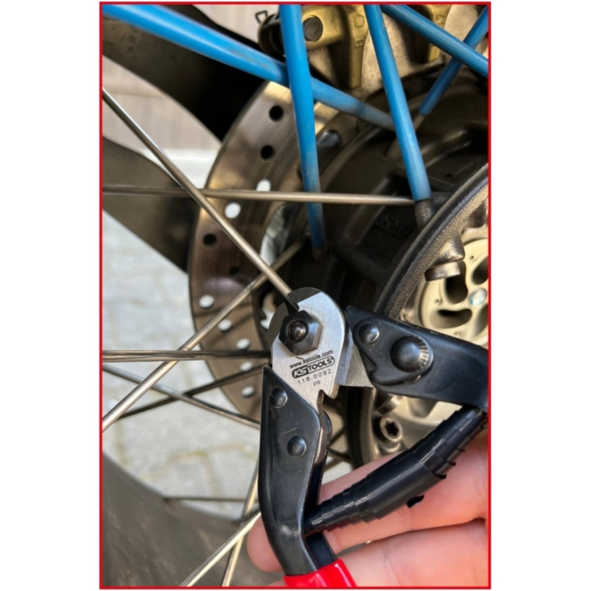 FOT_ANW_ALG_WZAL_118_0092_AW2_SALL_AING_V1