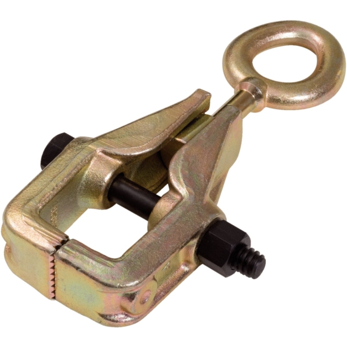 FOT_PRO_ALG_AUTO_140_2425_SALL_AING_V1