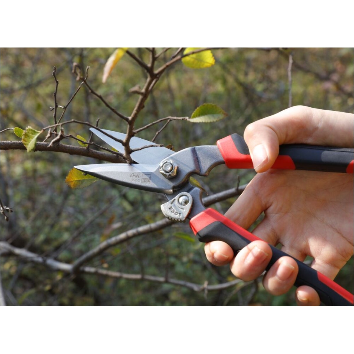 d52-2_work_twig