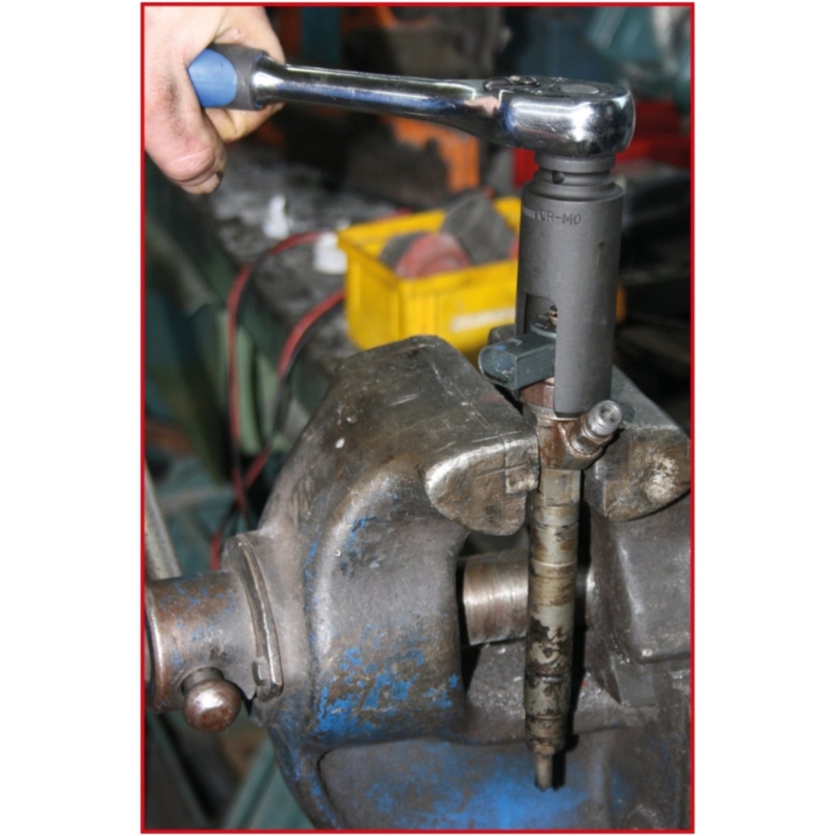 FOT_ANW_ALG_AUTO_150_2310_AW4_SALL_AING_V1