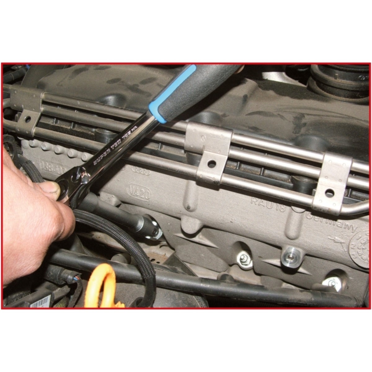 FOT_ANW_ALG_STK_500_7320_AW1_SALL_AING_V1