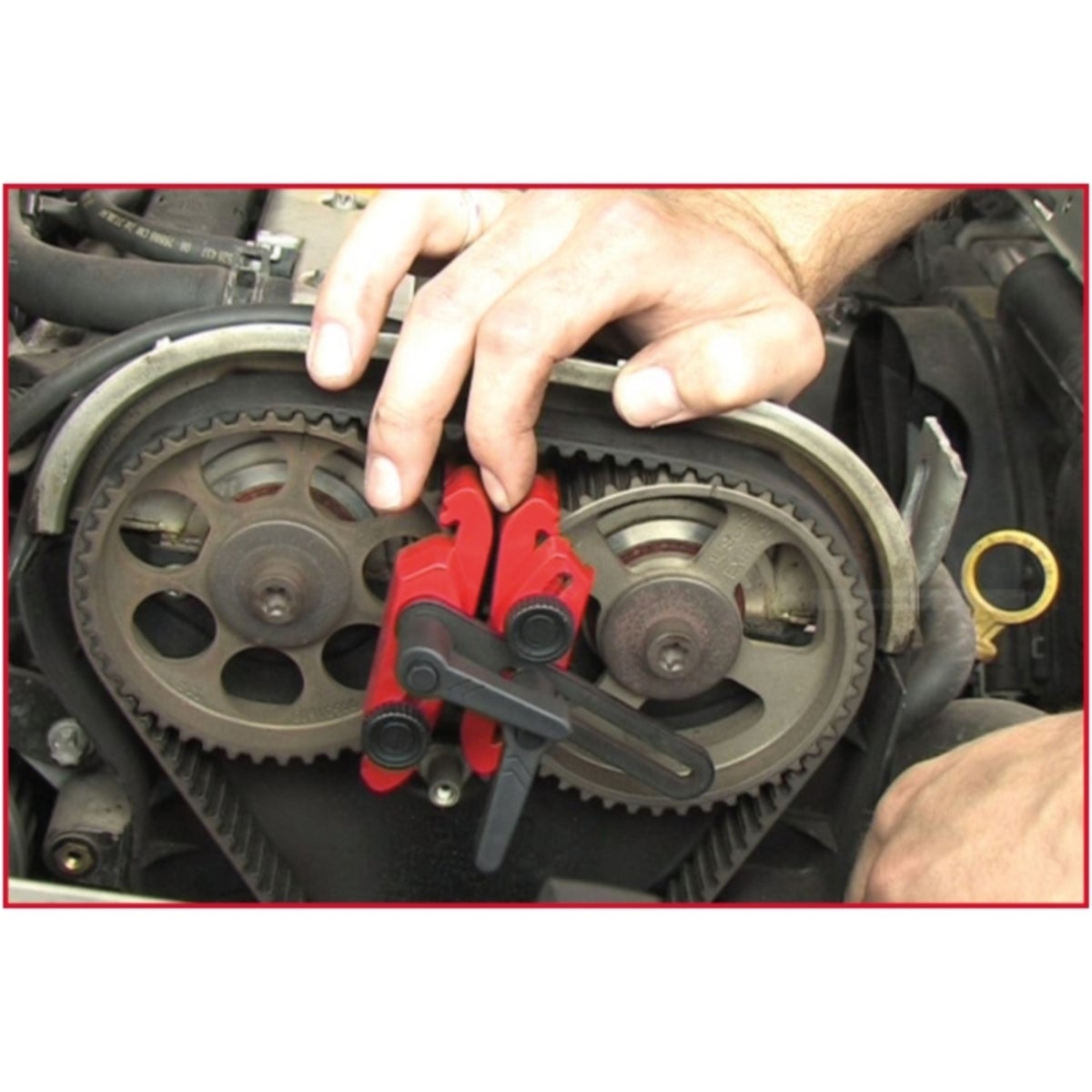 FOT_ANW_ALG_AUTO_150_3190_AW2_SALL_AING_V1