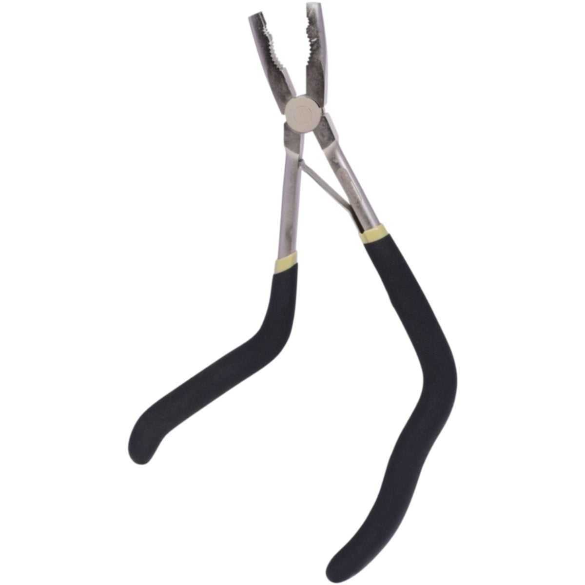 FOT_PRO_ALG_500_7335_SALL_AING_V1