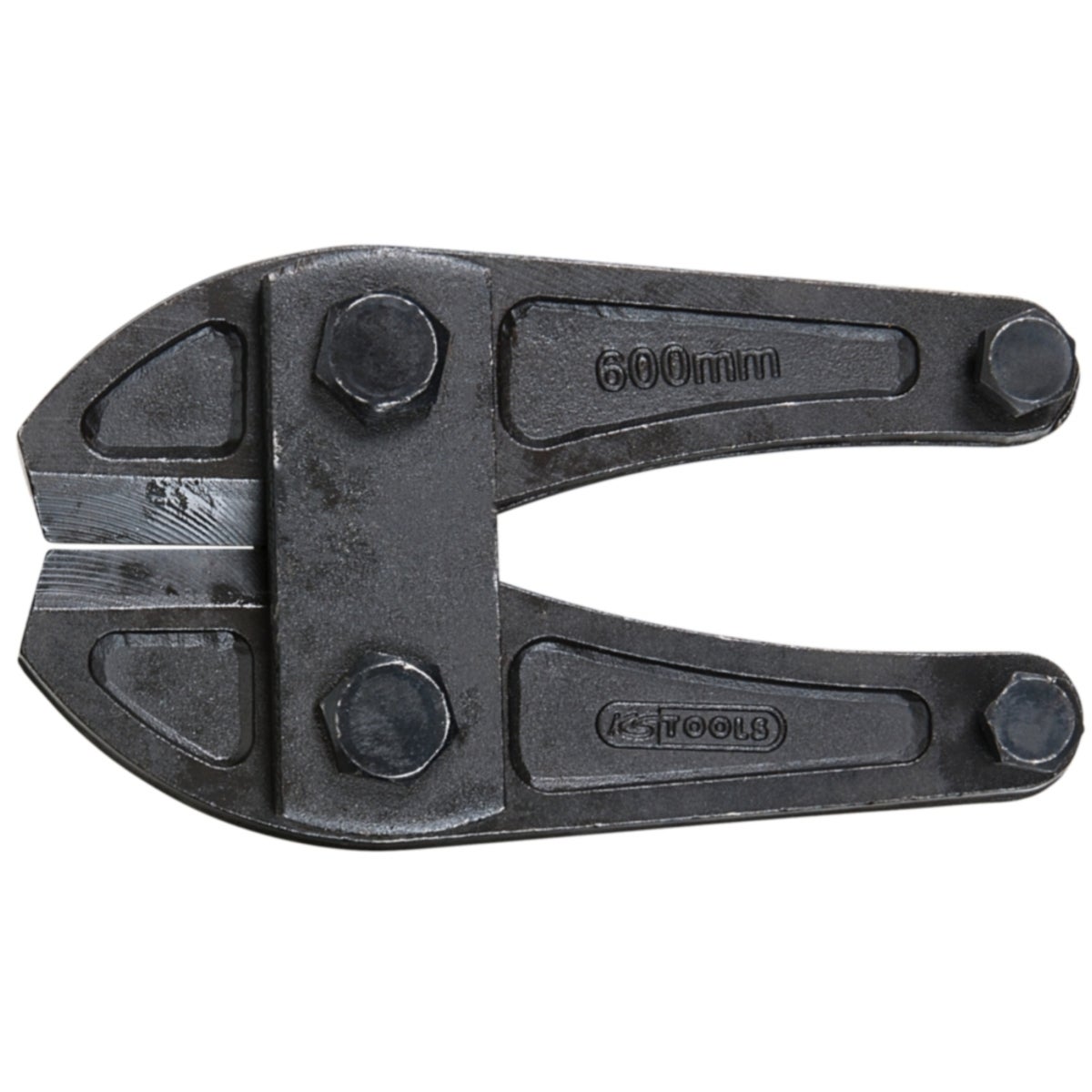 FOT_PRO_ALG_ZA_118_0125_SALL_AING_V1